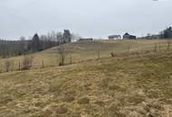 ++ SELTENE GELEGENHEIT ++ GENIAL für PFERDEHALTUNG ++ BAUERNHOF mit ca. 7 HA Landwirtschaftlicher Fläche und Wald ++ NEBENGEBÄUDE++ NÄHE GRAZ++