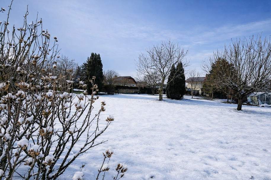 Grundstück mit Altbestand in Maxglan, Grund und Boden-kauf, 1.350.000,€, 5020 Salzburg(Stadt)