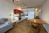 Zweitwohnsitz möglich! moderne Kleinwohnung mit Salzkammergut-Panorama