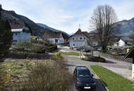 Sanierungsbedürftiges Mehrfamilienhaus mit großem Baugrundstück