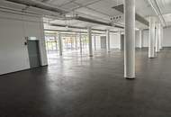 PRAXIS / FITNESS / BÜRO in den Parkvillen von Viktring