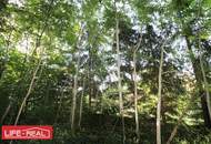 Vielseitiges Grundstück in wachstumsstarker Region