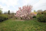 7-Zimmer-Einfamilienhaus mit Garten, Terrasse &amp; Garage in Tragwein