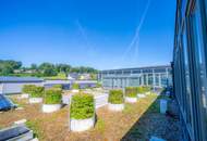 Raum für Unternehmen – Moderne Gewerbefläche in Hof bei Salzburg
