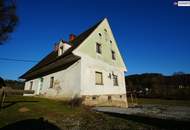 HISTORISCHER HOF IN DER GRÜNEN STEIERMARK: Ein Platz für große Pläne – von Landwirtschaft bis Pferdeparadies