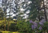 Noch diesen Sommer im Grünen wohnen!