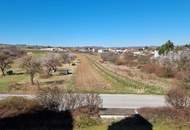 Großzügige Familienwohnung in der Storchenstadt Rust am See