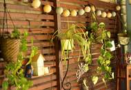 NEUER PREIS! Schönes Einfamilienhaus in Meidling mit großem Garten und 90m² Werkhalle!