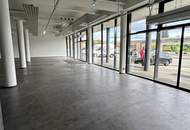 PRAXIS / FITNESS / BÜRO in den Parkvillen von Viktring