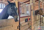 Top gepflegte Reitsportanlage in traumhafter Aussichtslage! Ihr persÃ¶nliches Paradies fÃŒr Mensch &amp; Pferd!