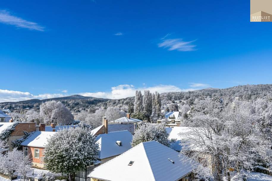 Großzügige Dachgeschosswohnung mit Stil &amp; Weitblick in Baden, Wohnung-kauf, 869.900,€, 2500 Baden