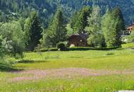 Traumhaftes Baugrundstück in Donnersbachwald Nähe Riesneralm (Provisionsfrei)