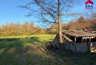 Freizeitgrundstück in Gaweinstal – ruhige Grünlage mit viel Natur und Entwicklungspotenzial