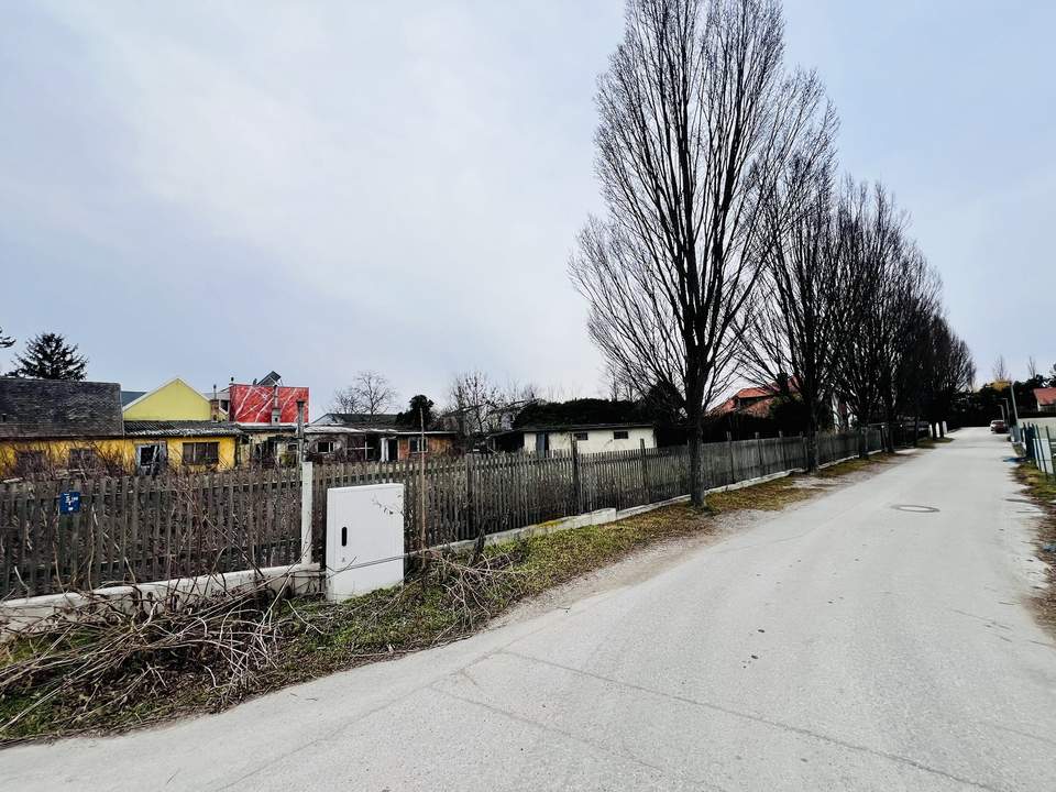 Großes Grundstück mit vielen Möglichkeiten