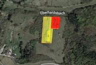 Verwilderter, mit alten Sorten bestückter Obstgarten im Moment als Wald gewidmet RODUNG bewilligt