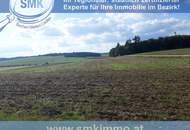Acker bei Maissau - 3,42 ha landwirtschaftliche Nutzfläche!