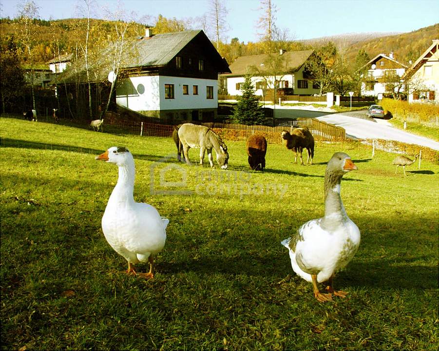 Landgasthof in Sankt Corona am Schöpfl !!! Zur Vermietung ein komplettes Haus inklusive Wohnungen in der beliebten Region Sankt Corona am Schöpfl - Mietpreis: nur 2.500 Euro monatlich