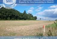 Acker bei Maissau - 3,42 ha landwirtschaftliche Nutzfläche!