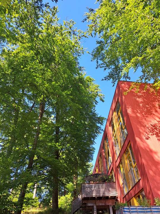 Wohnen am Buchenwald - moderne 57 qm Wohnung mit angenehmer Kühle im Sommer