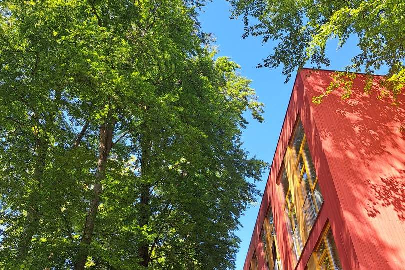 Wohnen am Buchenwald - moderne 57 qm Wohnung mit angenehmer Kühle im Sommer, Wohnung-kauf, 215.000,€, 5111 Salzburg-Umgebung