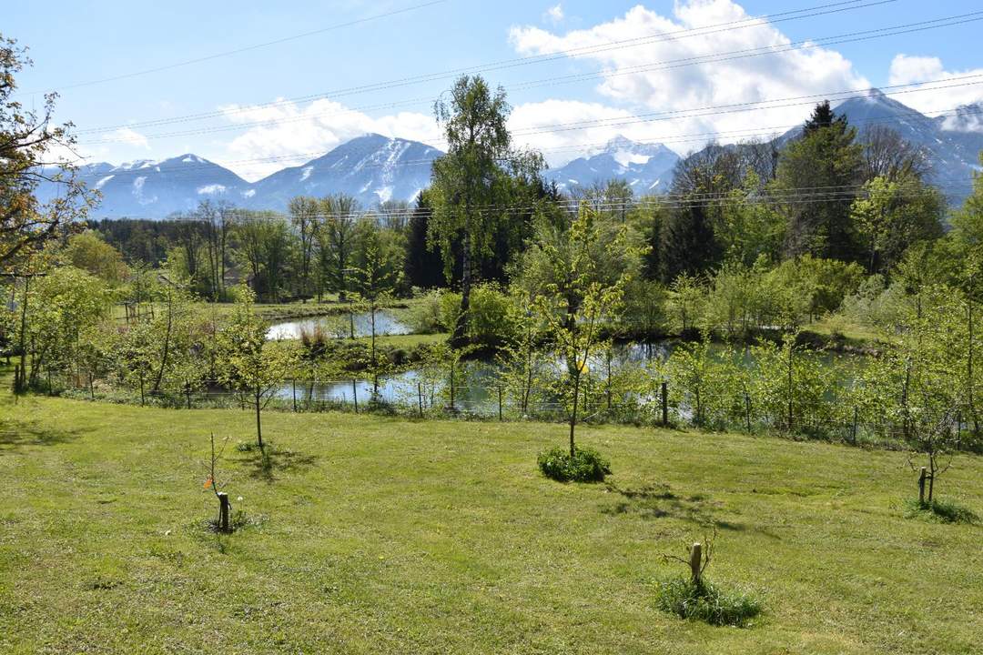 "Oh Du Mei Rosental........"