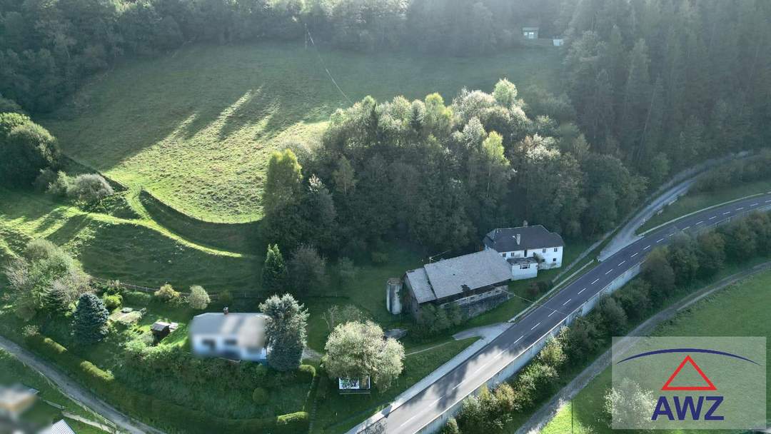 Landwirtschaft mit Hofstelle in Trieben!