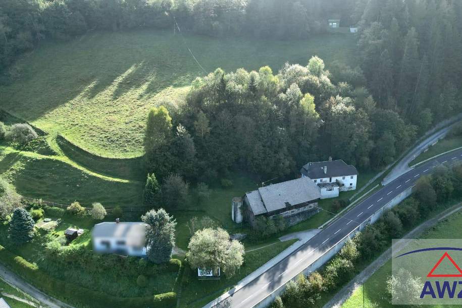 Landwirtschaft mit Hofstelle in Trieben!, Gewerbeobjekt-kauf, 8784 Liezen