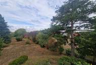 ARCHITEKTENWOHNJUWEL MIT PARKÄHNLICHEM GARTEN IN RUHELAGE MIT ALTBAUMBESTAND IM NAHBEREICH VON WIEN MIT HERVORRAGENDER INFRASTRUKTUR