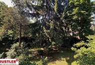 Natur und Ruhe im 19. Bezirk: 5 Zimmerwohnung mit Garten und herrlichem Grünblick