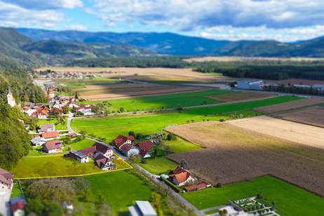 !!!Preisreduzierung!!! Ihr Traum vom Landleben: Hofstelle mit Charme, Pferden und Obstbäumen., Haus-kauf, 250.000,€, 9113 Völkermarkt