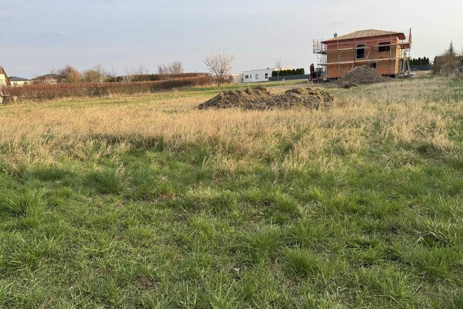"Bauen - Leben - Ankommen", Grund und Boden-kauf, 75.000,€, 3483 Tulln
