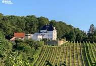 Exklusive Villa in den Weinbergen - traumhafter Ausblick