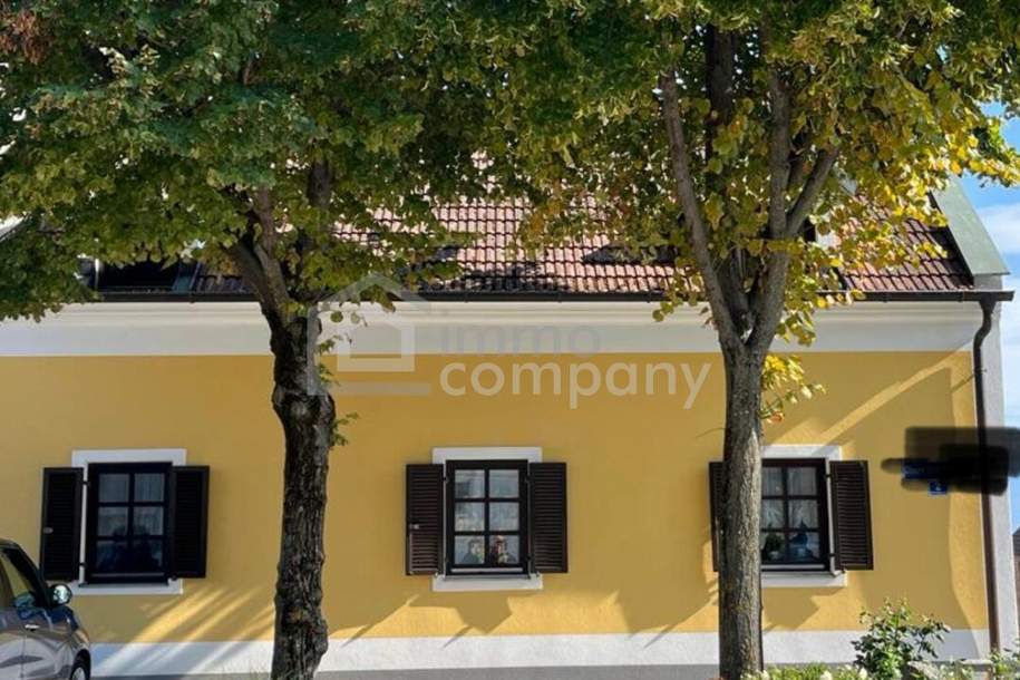 Einzigartiger Streckhof - liebevoll gepflegt!, Haus-kauf, 599.000,€, 7093 Neusiedl am See