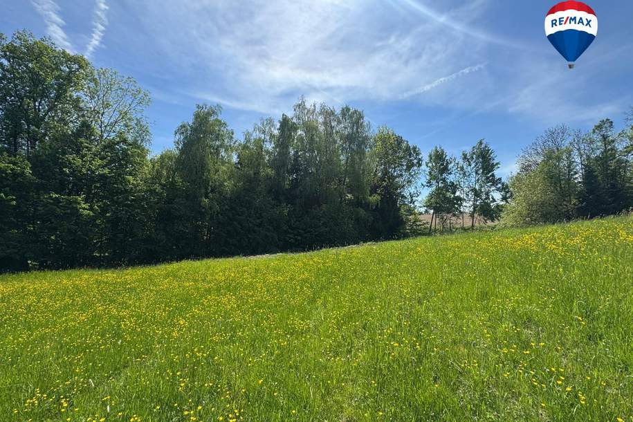 Attraktives Baugrundstück in idyllischer Waldrandlage | Am Sommerberg, Aschach an der Donau | Ohne Bauzwang, Grund und Boden-kauf, 127.000,€, 4082 Eferding