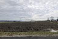 Ebenes Grundstück in Ortsrandlage