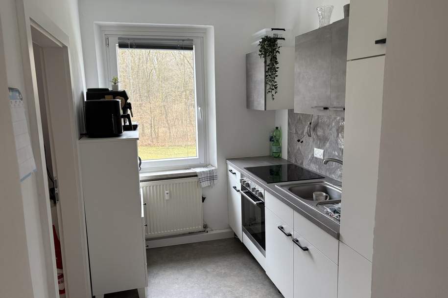 Ruhige Wohnidylle mit herrlichem Grünblick – lichtdurchflutete 3-Zimmer-Wohnung mit kleinem französischen Balkon und idealer Lage im Herzen von Münichholz!, Wohnung-miete, 503,50,€, 4400 Steyr(Stadt)