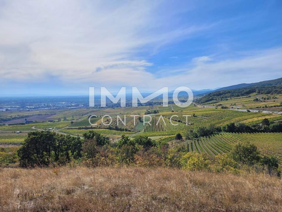 Baugrundstück mit Abbruchobjekt