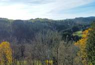 Zwischen Himmel, Wald und Wasser - Haus mit Blick, Flussnähe und purer Ruhe