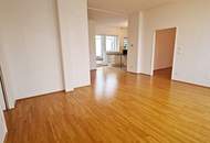 VIKTORGASSE, FERNBLICK, 84 m2 Dachgeschoß mit 30 m2 Terrasse, 2 Zimmer, Wohnküche, 2 Bäder, Parketten, U1-Nähe
