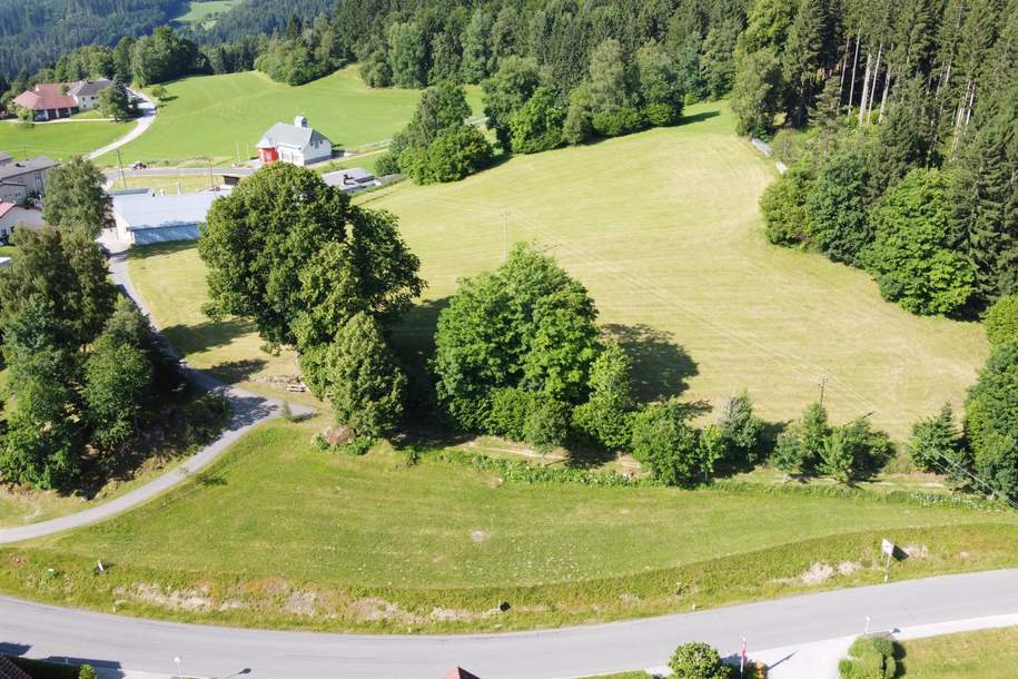 Baugrund samt Gartengrund (Grünland) in Zentrumsnähe von Kaltenberg, Grund und Boden-kauf, 47.840,€, 4273 Freistadt