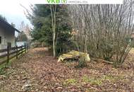 Ruhig gelegenes Grundstück in Spattendorf – Gemeinde Alberndorf in der Riedmark (GST 2460/9)