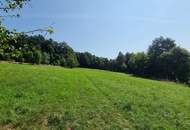 LANDWIRTSCHAFT VOR DEN TOREN WIENS