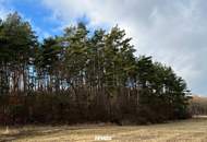 GROSSE landwirtschaftliche Flächen (ca. 27 ha!) und ein Waldgrundstück! Auch Teilkauf möglich! BEZIRK OBERWART!