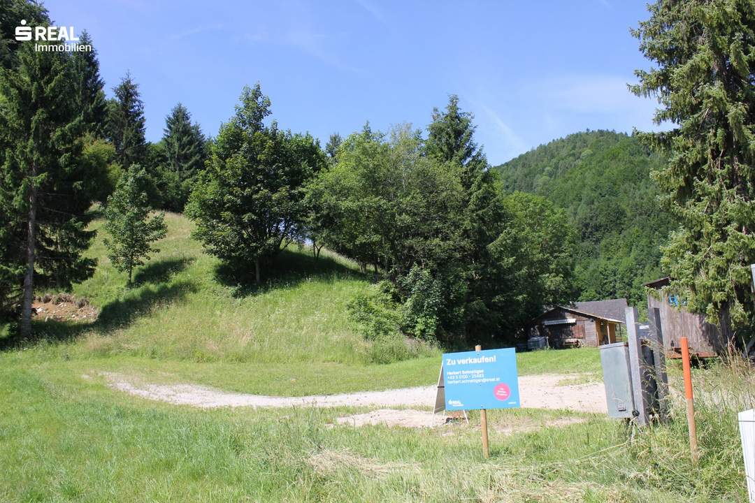 Familienidylle & Bauträgerchance