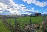 "Mit Snack zum Erfolg"