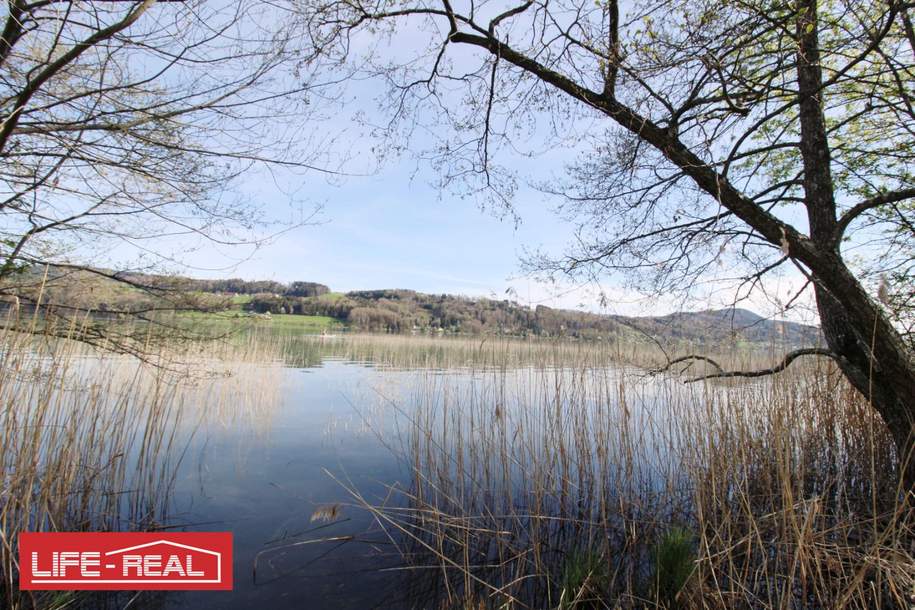 Seltenheit - Grundstück am Mattsee, kein Bauland, Grund und Boden-kauf, 199.000,€, 5163 Salzburg-Umgebung