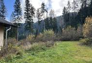 Zweifamilienhaus in Afritz: Naturnah, großflächig, sanierungsbedürftig – Ihr neues Zuhause!