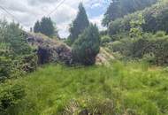 Baugrundstück mit Gartenhaus