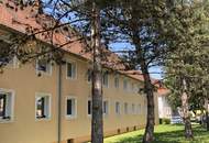 WOHNGENUSS PUR: praktisch geschnittene 2-Raum Wohnung in ruhiger und zentrumsnaher Lage! Preiswert mit heller Raumaufteilung, ebenerdiger Dusche und hochwertigem Zustand!