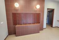 JONAS AM FELD! HOLEN SIE SICH EINE DER LETZTEN FREIEN EINHEITEN!